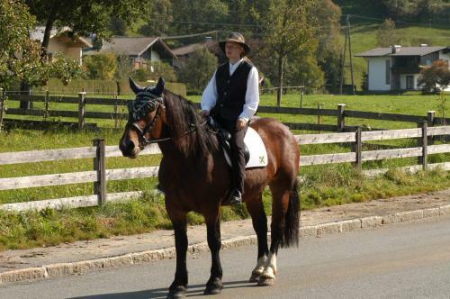 Agroturismo Maurerhof Itter