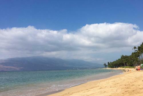 Waiohuli Beach Hale #c-211