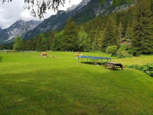 Apartamento Landhaus Alpenblick