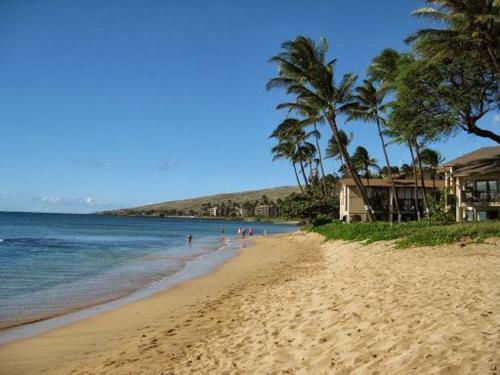 Maalaea Yacht Marina #104
