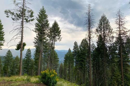 Peaceful Garden Valley Cabin With Private Deck!