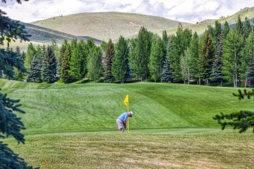 Fairway Nine 4315