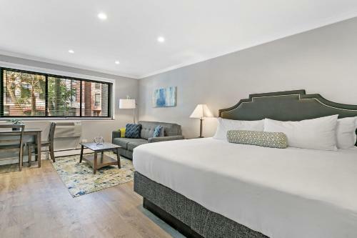 Modern Style City Centre Studio Apartment Lakeview
