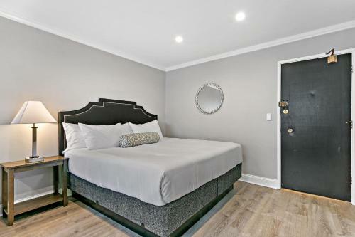 Modern Style City Centre Studio Apartment Lakeview