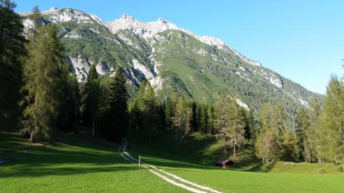 Apartamento Ferienwohnungen Rauth