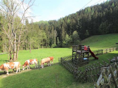 Villa Holiday Home Krechen Alm