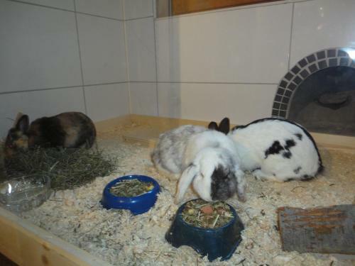 Apartamento Haus Gatterer