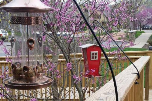 The Iris Garden Downtown Cottages And Suites