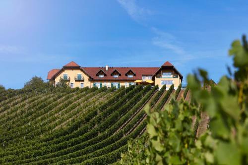 Hotel-restaurant Sch�ne Aussichten