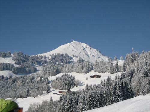 Apartamento Appartement Oberschernthann