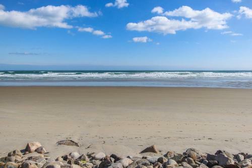 Seagulls View