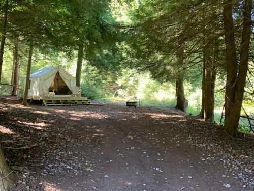 Tentrr Signature Site - Trout Meadow