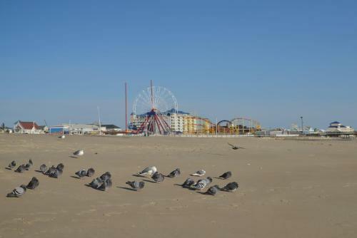 New Downtown Hideaway - 2 Blocks To Beach & Bay Home