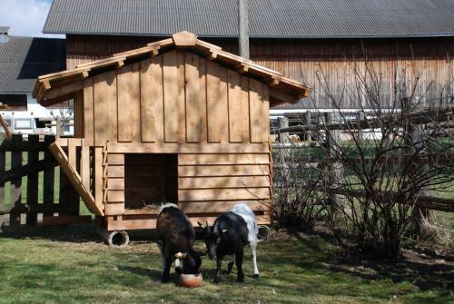 Agroturismo Bio-bauernhof Samerhof