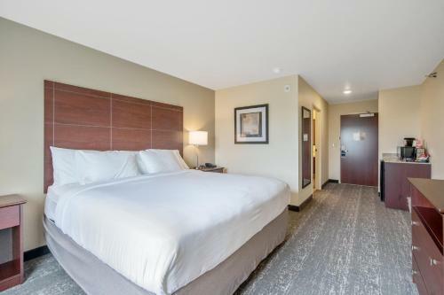 Cobblestone Hotel & Suites - Austin