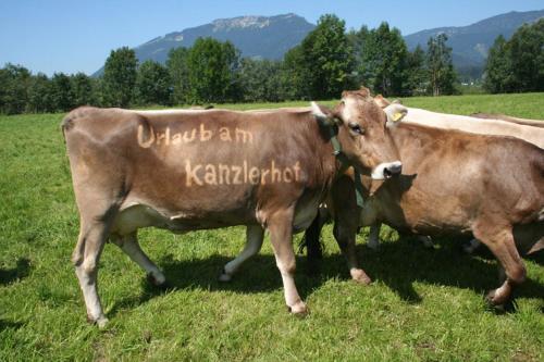 Apartamento Kanzlerhof