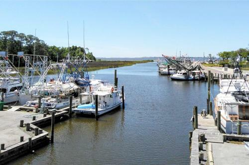 Apartamento Harbor Oaks Haven Walk To Front Beach And Downtown!