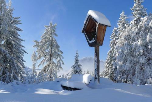 Apartamento Ferienwohnungen Berger