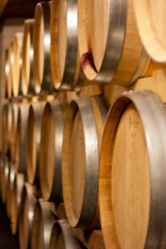 Hostal Weingut Franz Schindler