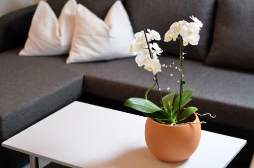 Apartamento Appartements Mantinger