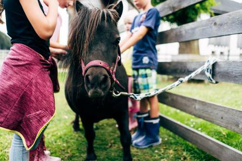 Agroturismo Gut Neusess