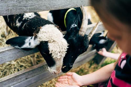 Agroturismo Gut Neusess
