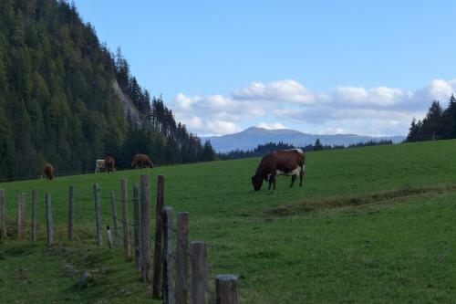 Hotel Salzburgerland