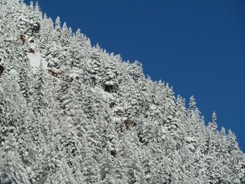 Apartamento Appartement Gurgl