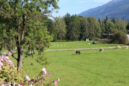 Apartamento Haus Seber