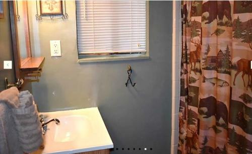 Cozy Bear 8, 1 Br, Fireplace, Midtown, Grill, Sleeps 4