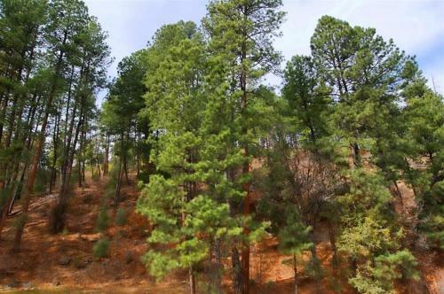 Apartamento Canyon Creek Condo 111