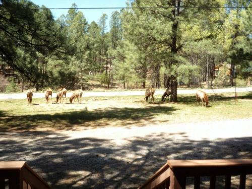 Timberline - Cozy Cabins Llc