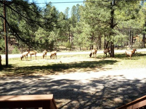 Timberline - Cozy Cabins Llc