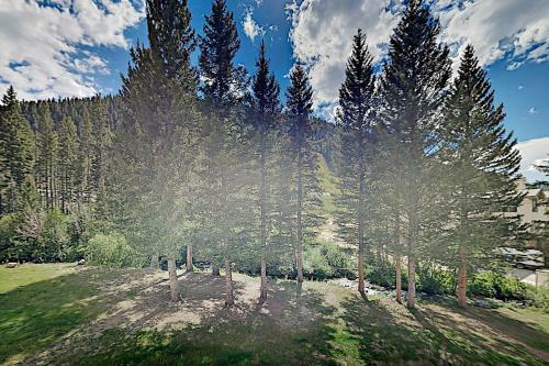 Apartamento Sierra Del Sol - River-view, Ski-in, Ski-out Gem Condo