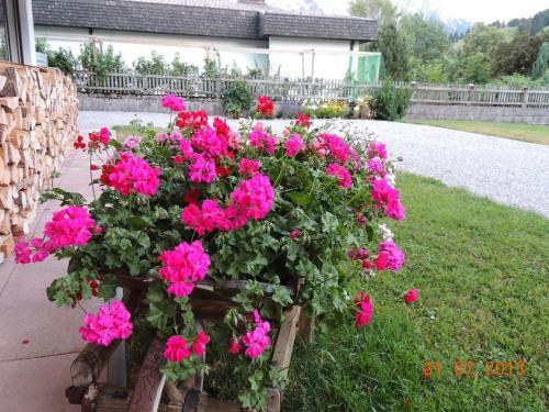Apartamento Haus Arnika