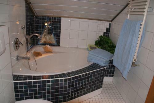Apartamentos Alpin-sportiv