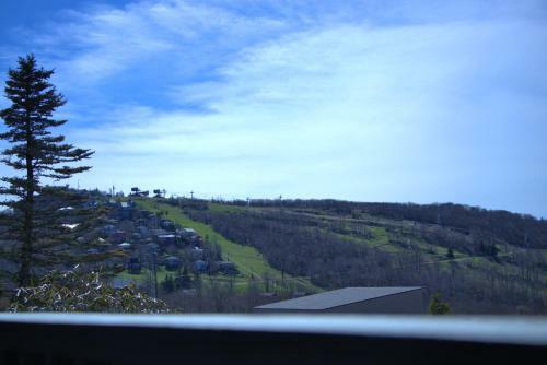 2102 - Silver 2 Bdrm - 1000 Sf Sleeps 4