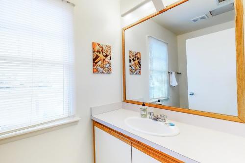 Yellowfin & Zebrafish