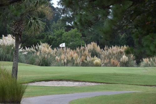 Apartamento 905m Condo