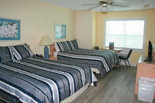 101l Home