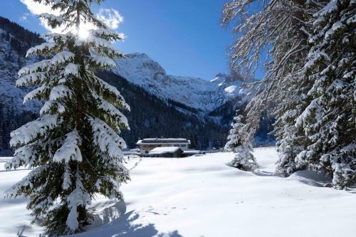 Hostal Alpengasthof Gern Alm
