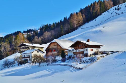 Apartamento Spreitzhof - Appartements