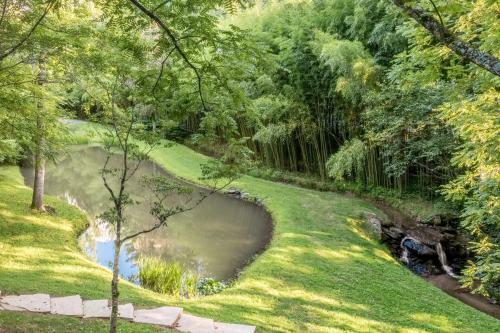 Fox Den - Lush Forest Retreat - Patio & Trails Home