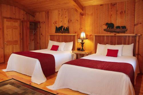 Hotel The Pineola