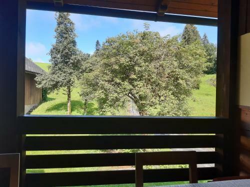 Apartamento Ferienwohnung Johanna