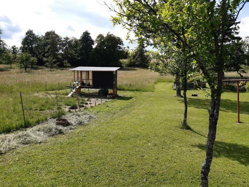 Apartamento Ferienwohnung Johanna