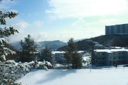 Sugar Ski & Country Club Unit 121