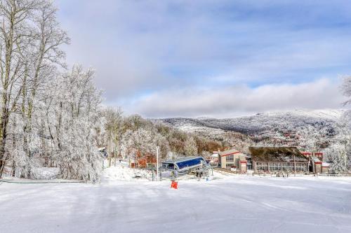 Snowlake D-22