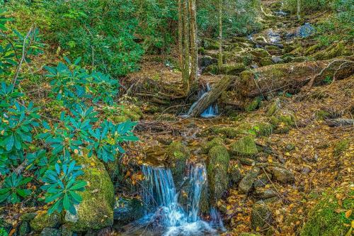 Mossy Creek Haus