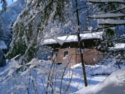 Apartamento Ferienwohnung Waldh�usl
